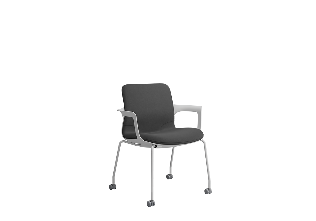 Ega