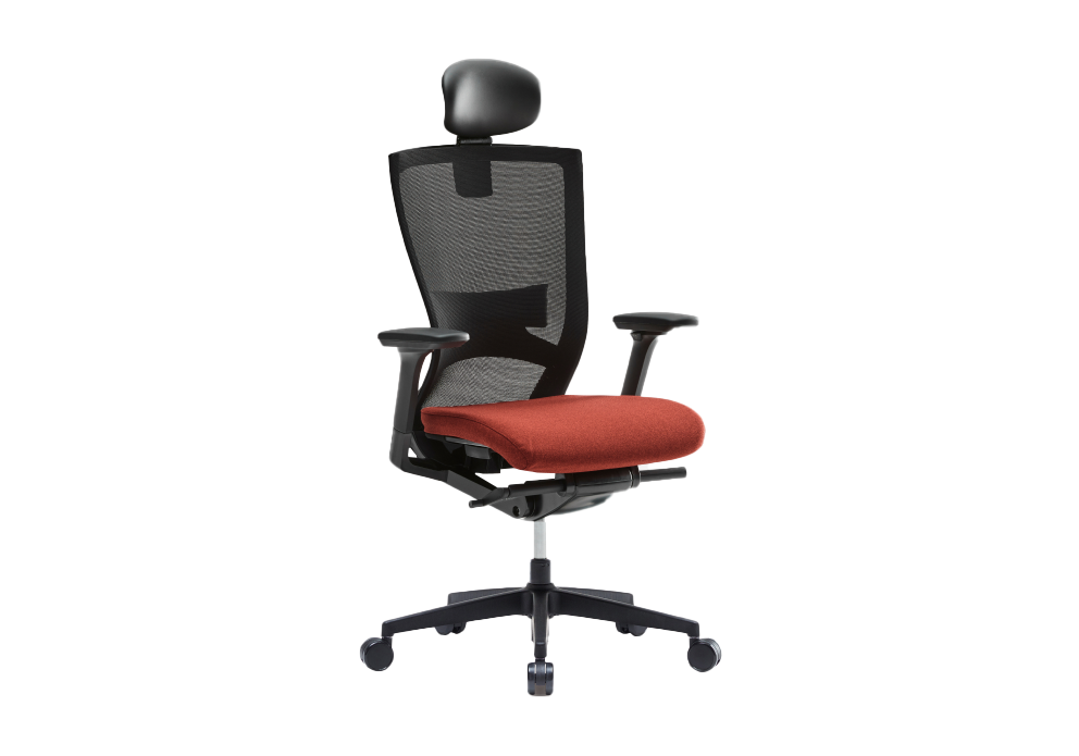 CHA4300